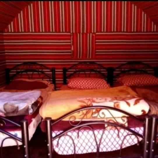 Bedouin Family Camp Hotell Wadi Rum Exteriör bild
