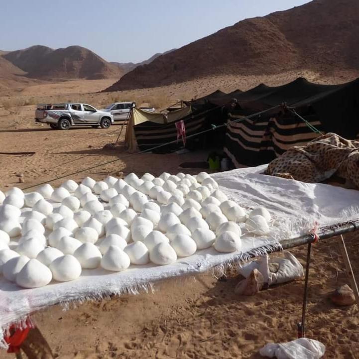 Bedouin Family Camp Hotell Wadi Rum Exteriör bild