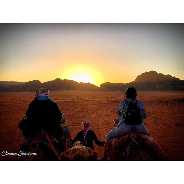 Bedouin Family Camp Hotell Wadi Rum Exteriör bild